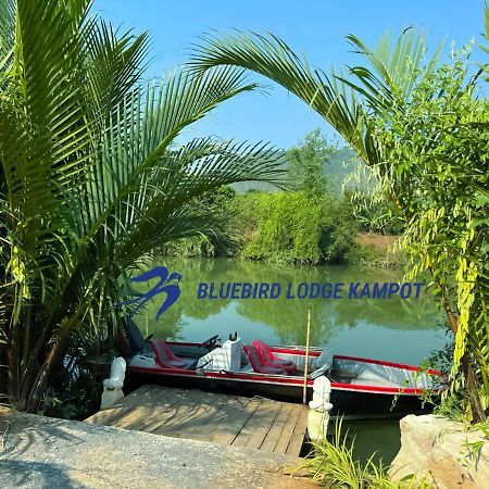 Bluebird Lodge Kampot Exterior photo