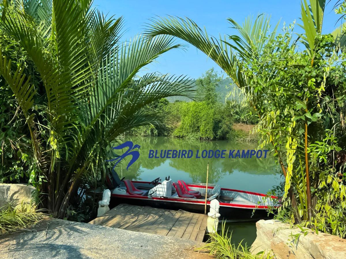Bluebird Lodge Kampot Exterior photo