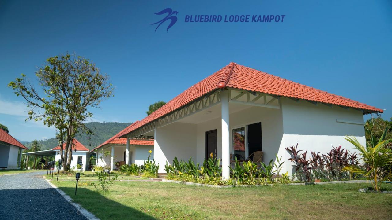 Bluebird Lodge Kampot Exterior photo