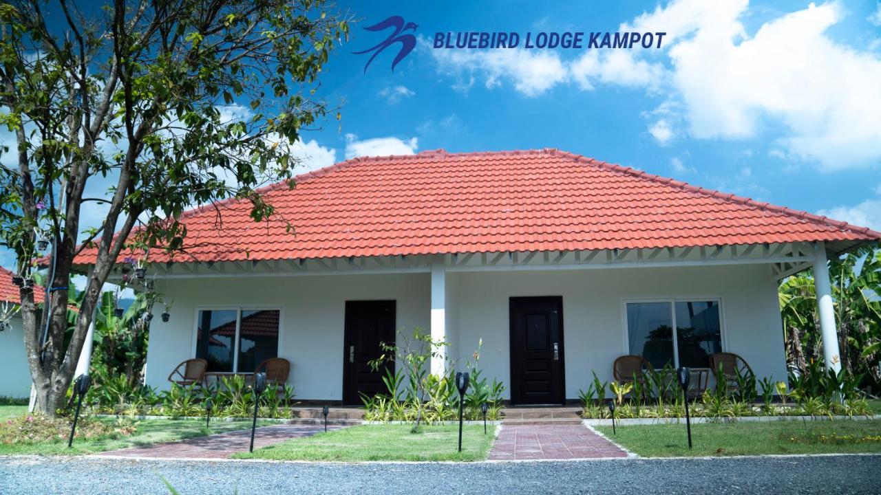 Bluebird Lodge Kampot Exterior photo